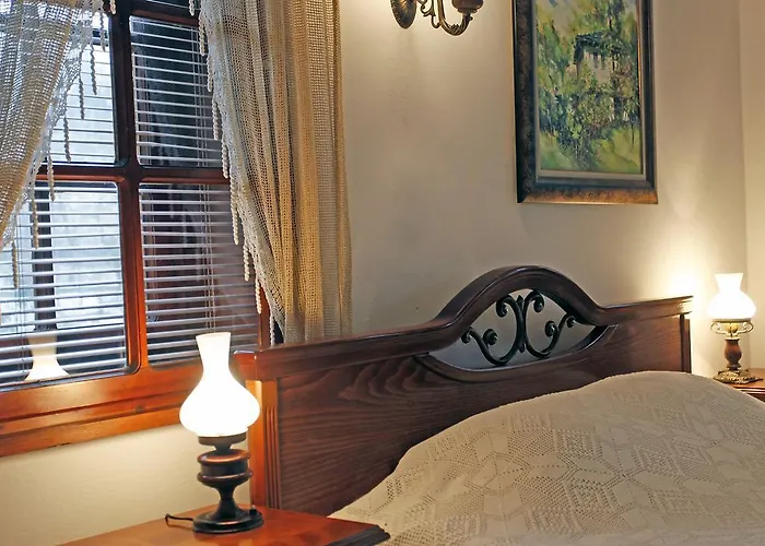 酒店 Family Varosha 2003 洛维奇